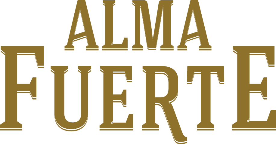 Plasencia logo